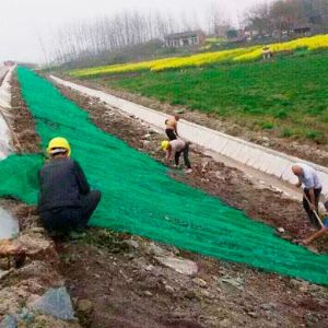 三維植被網(wǎng)護坡施工現場(chǎng)